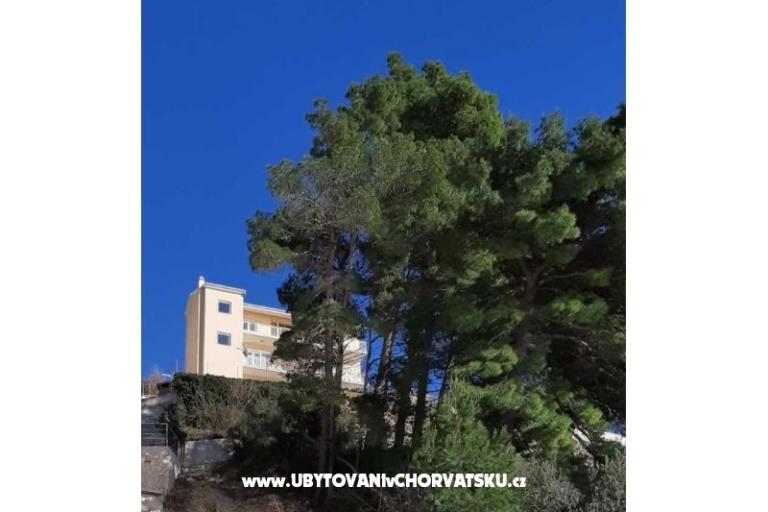 Vila ANI    – photo 4