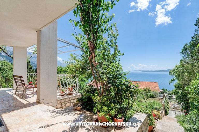 Vila Bistra – photo 6