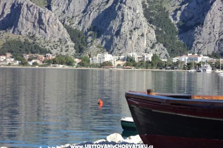 Vila Danica – photo 14