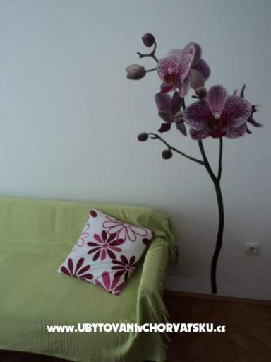 Vila Danica – photo 2