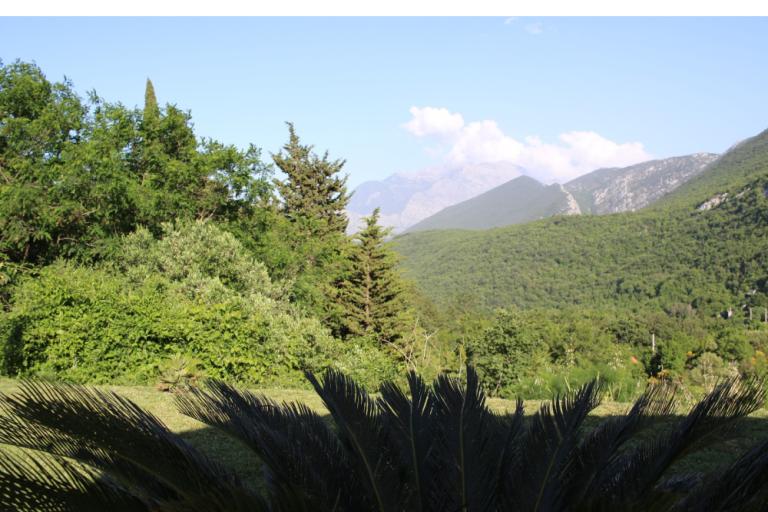 Vila Musa – photo 23