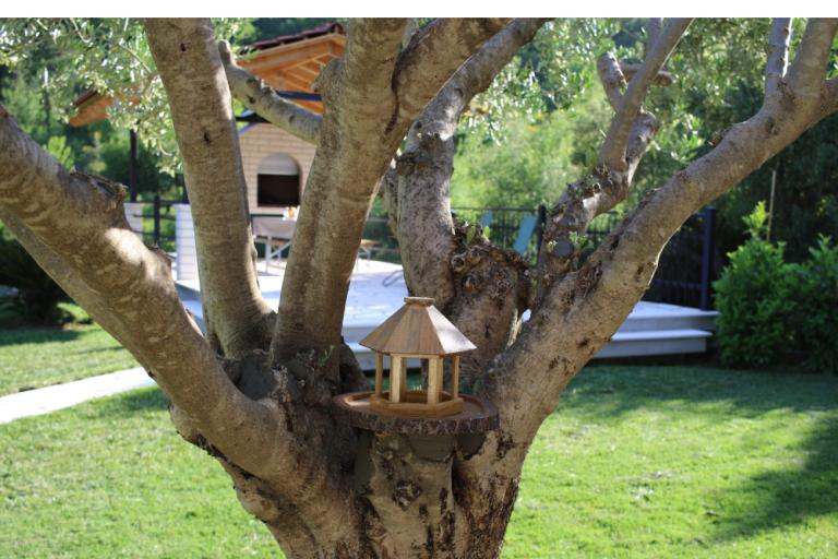 Vila Musa – photo 26