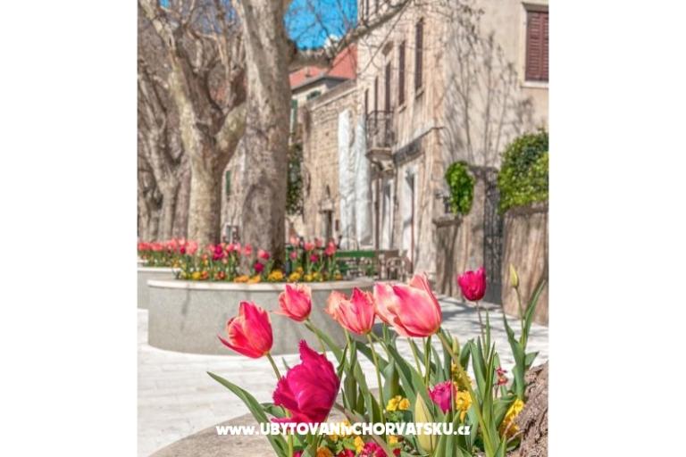 Villa Aria – photo 29