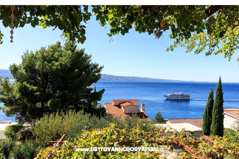 Villa Boris – photo 11