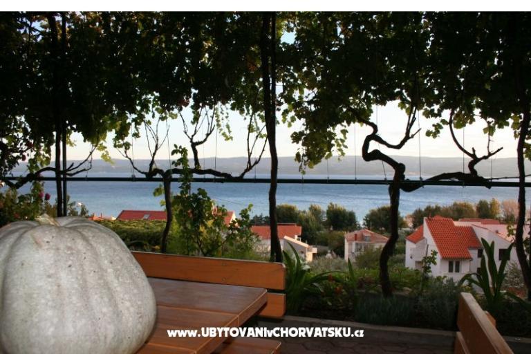 Villa Brigita – photo 9