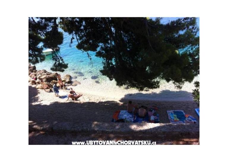 Villa Burin – photo 13