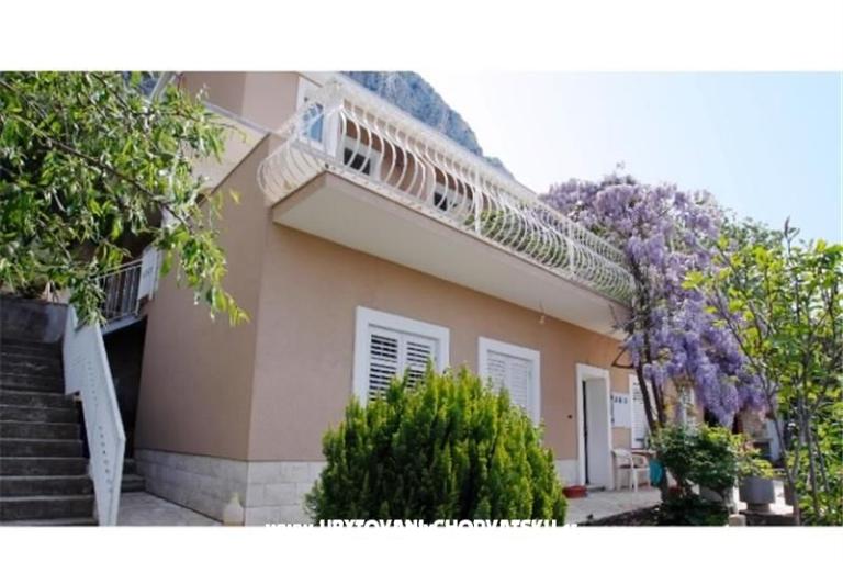 Villa Fig – photo 16