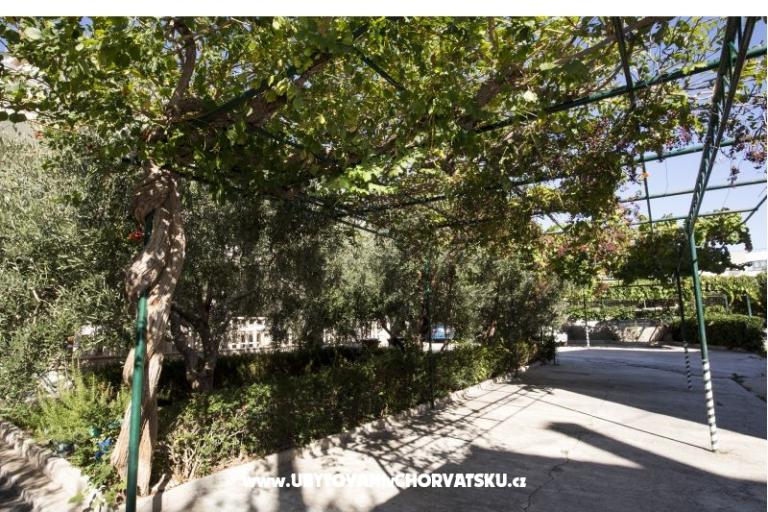 Villa Josipa – photo 4