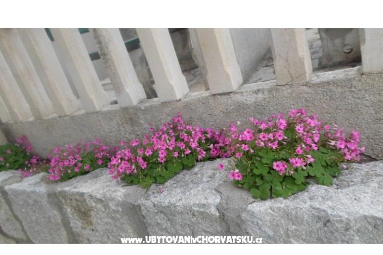 Villa Kaštelan – photo 14