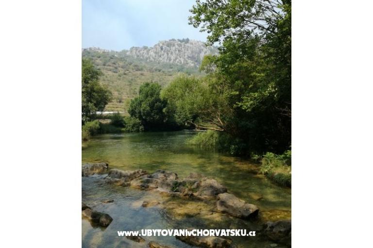 Villa Musini Dvori – photo 12
