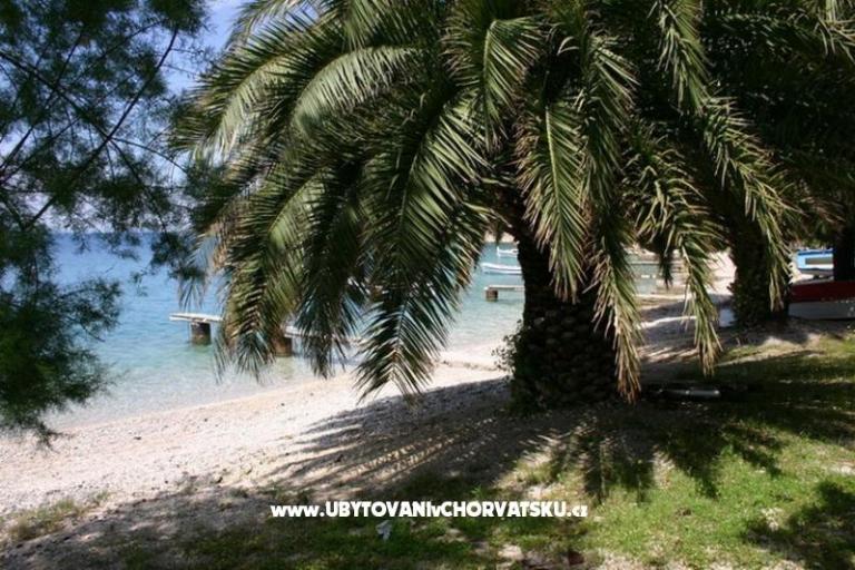 Villa Natasa – photo 4