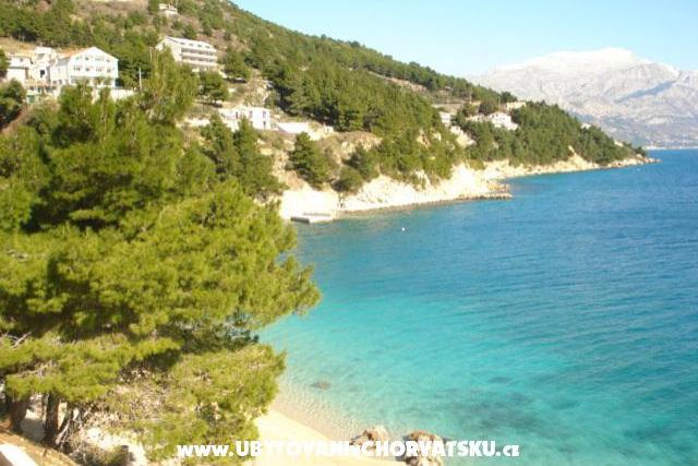 Villa Palma – photo 7