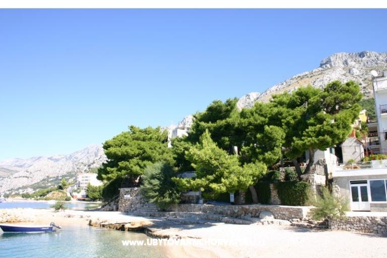 Villa Irma – photo 2