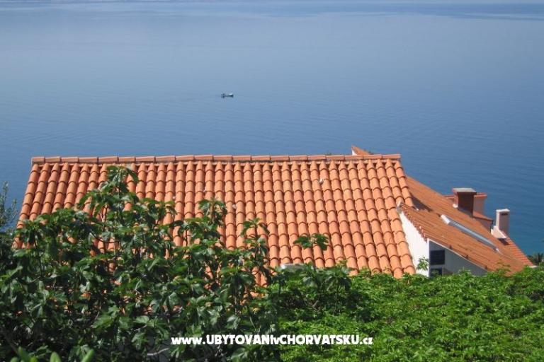 Villa Irma – photo 4
