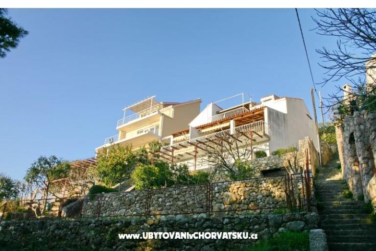 Villa Irma – photo 5