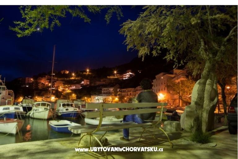 Villa Venera – photo 4