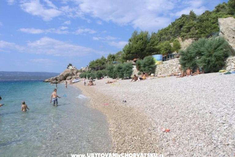 Villa Vera – photo 6