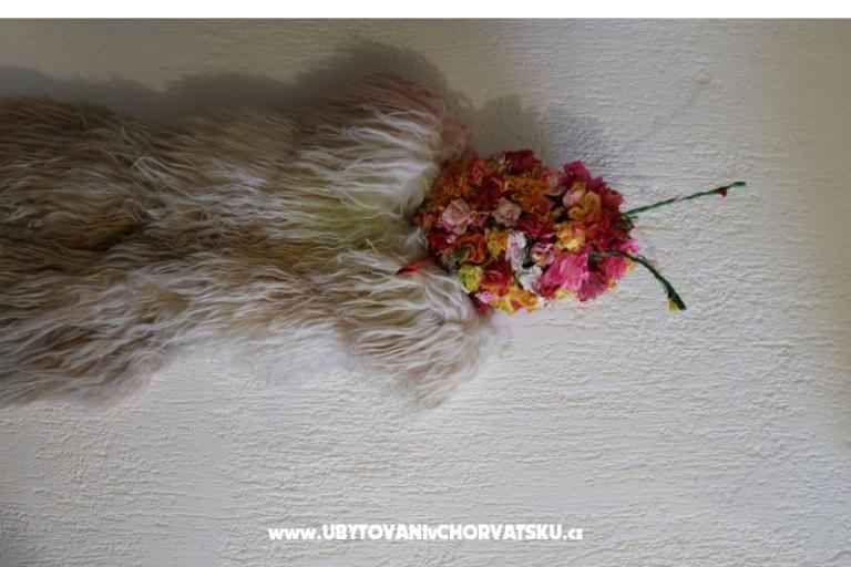 Apartment Kruna Rukavac – photo 15