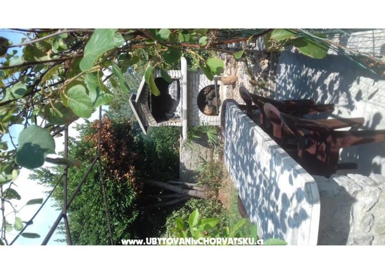 Apartment Kruna Rukavac – photo 8