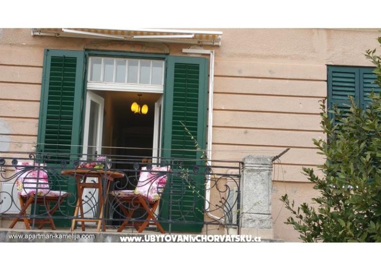 Apartment Kamelija – photo 14