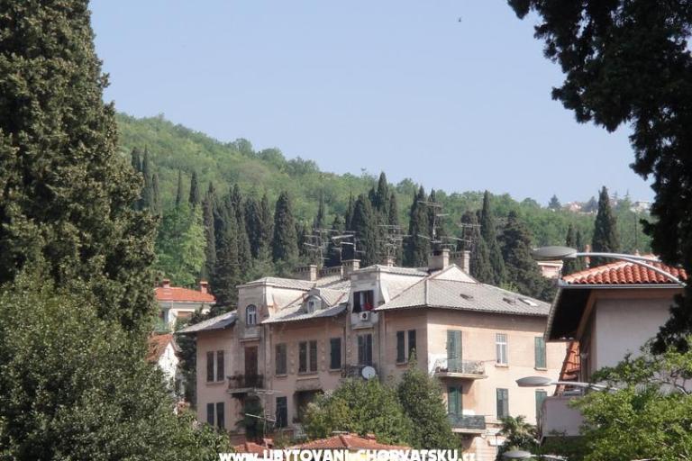 Apartment Kamelija – photo 15