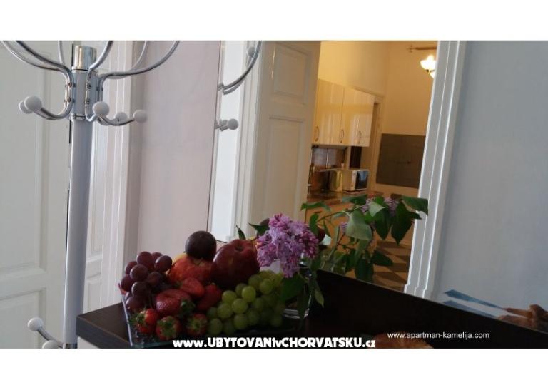Apartment Kamelija – photo 9