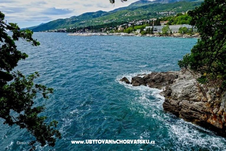 Apartments Sonja – photo 9