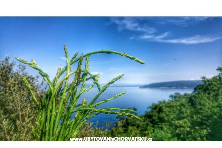 Garden of Pleasure – photo 12