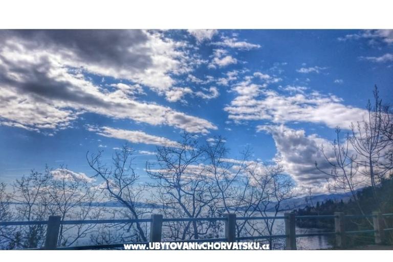 Garden of Pleasure – photo 16