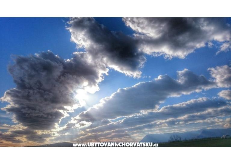 Garden of Pleasure – photo 6