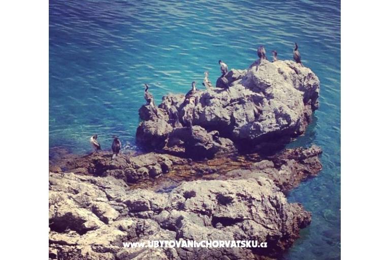 Garden of Pleasure – photo 8