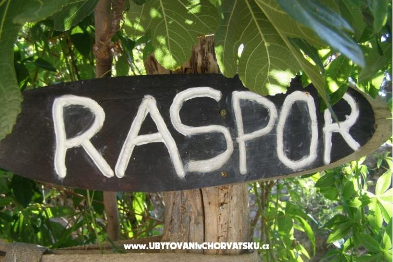 Apartments & rooms  Raspor – photo 12