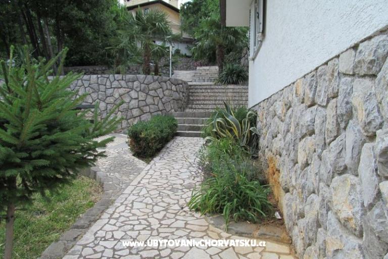 Tomy – photo 14