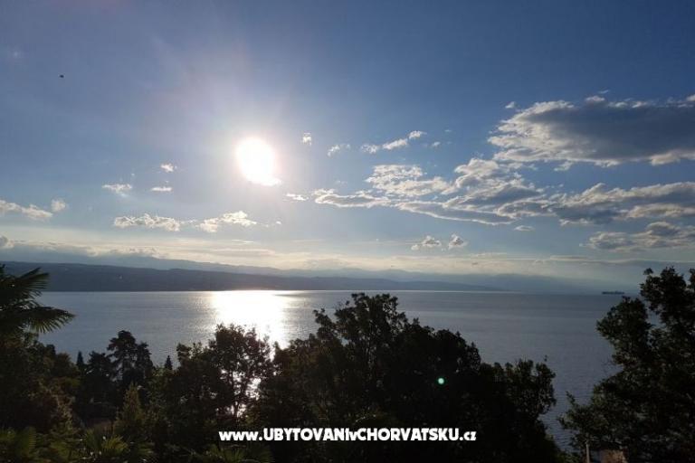 Villa Tomic – photo 17