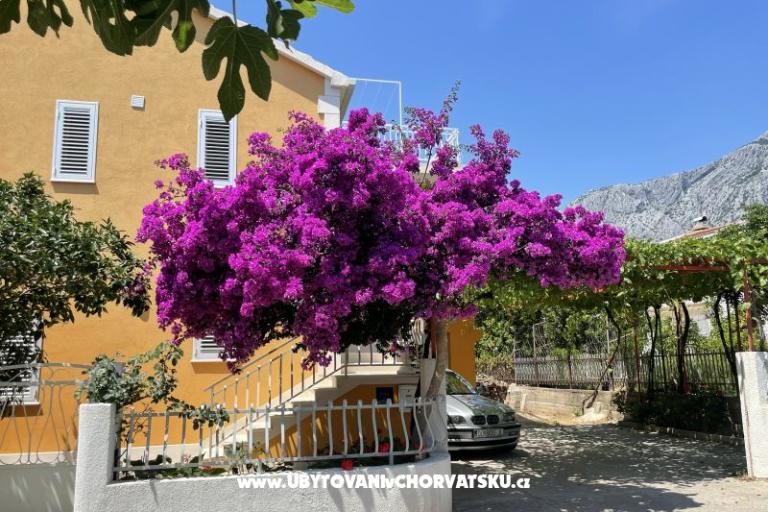 Apartments  Ante – photo 31