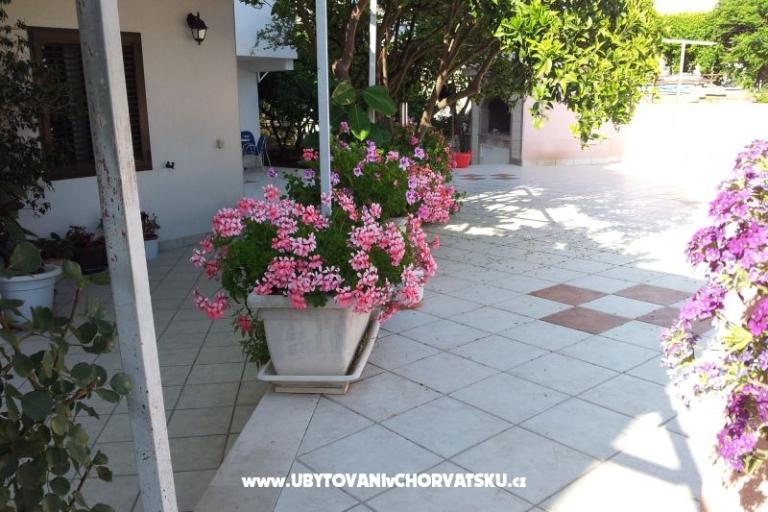 Apartments Bilic – photo 18