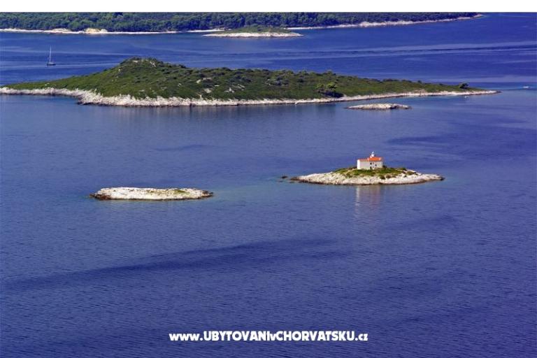 Apartments Damira – photo 4