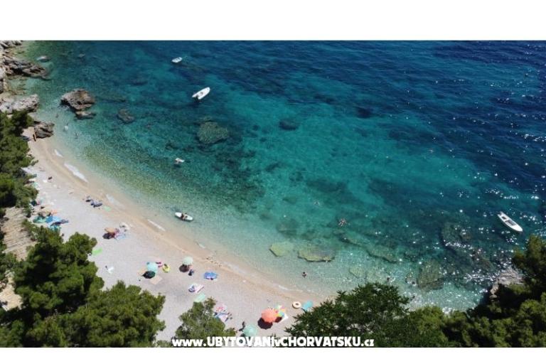 Apartments Ponta – photo 9