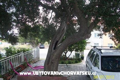 Apartments Tanja – photo 6