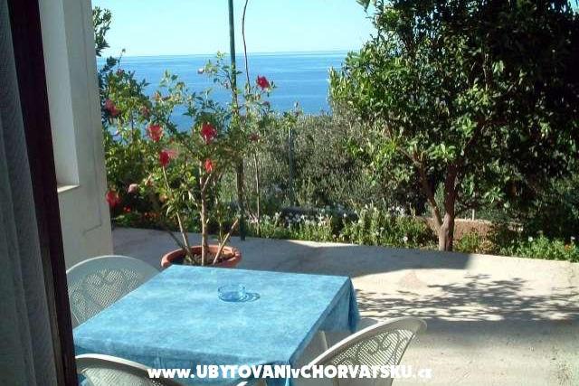 Apartmenty Branka – photo 3