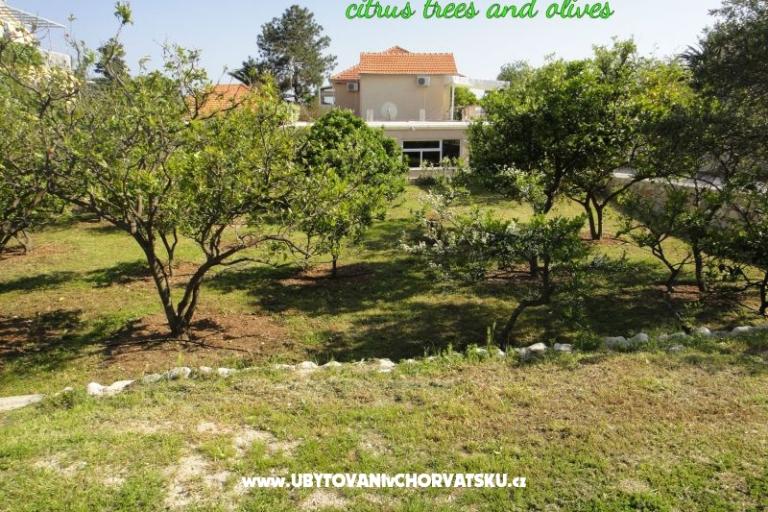 Apartments Pretner – photo 14