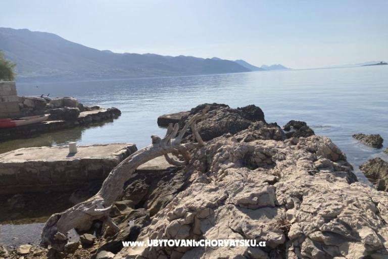 Apartments Ruvo – photo 17