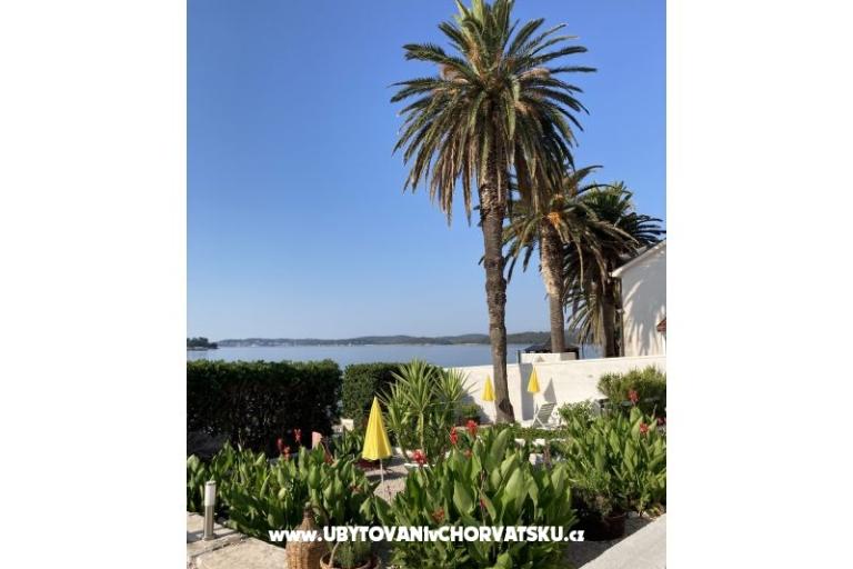 Apartments Ruvo – photo 6