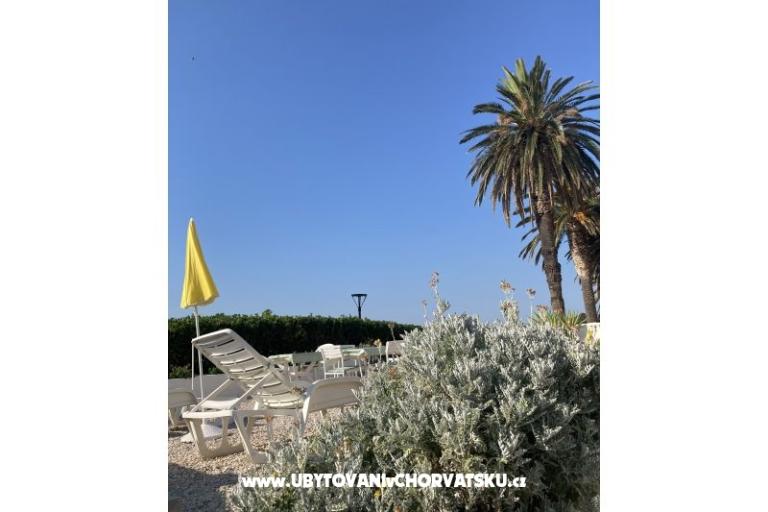 Apartments Ruvo – photo 8