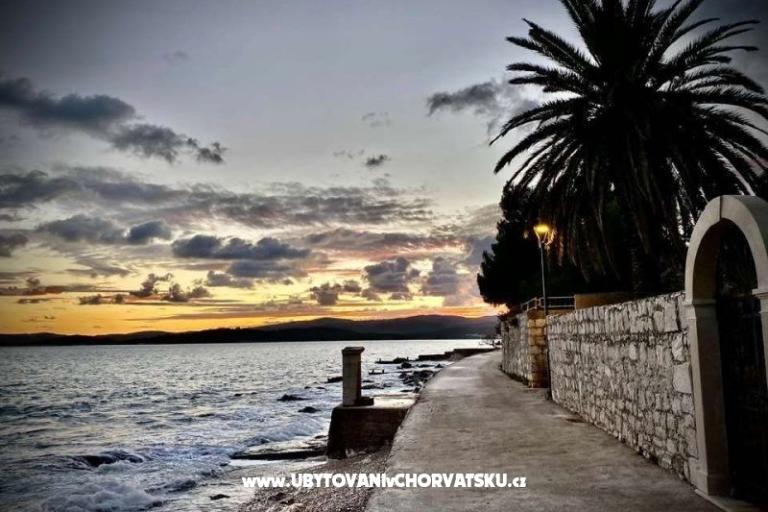 Vila Vida Orebić – photo 5