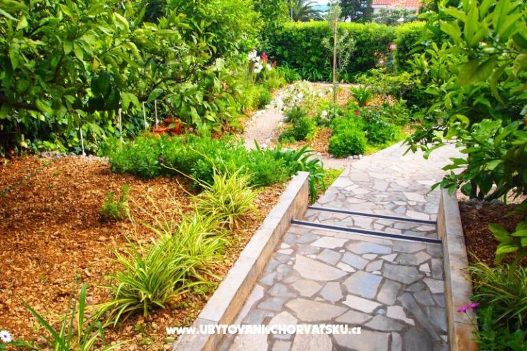 Villa Fani – photo 5