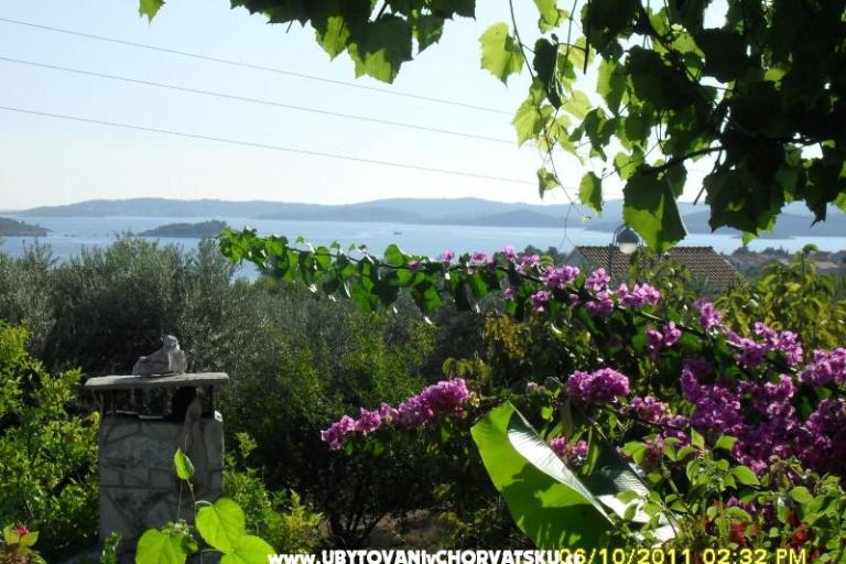 Villa Lea – photo 2