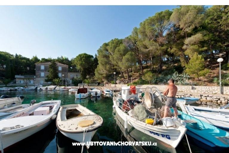 Apartments Maris Andrea – photo 5