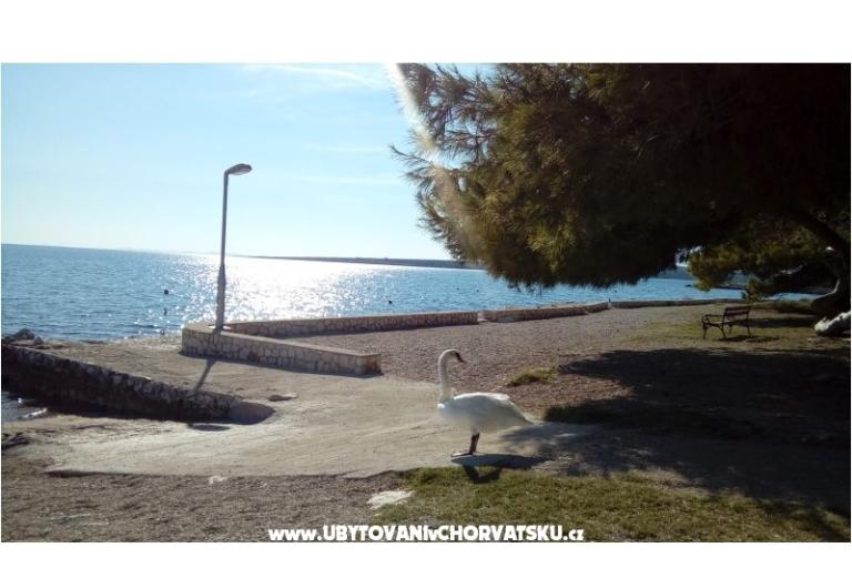 Apartment s pogledom na more – photo 3