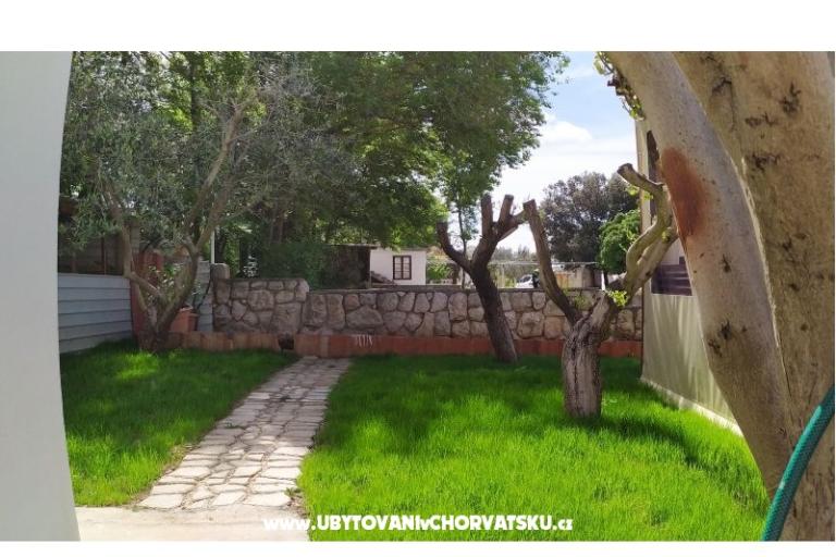 Apartments Andreja – photo 12